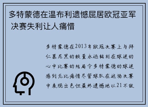多特蒙德在温布利遗憾屈居欧冠亚军 决赛失利让人痛惜 多特蒙德在温布利遗憾屈居欧冠亚军 决赛失利让人痛惜