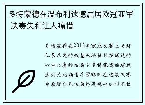 多特蒙德在温布利遗憾屈居欧冠亚军 决赛失利让人痛惜